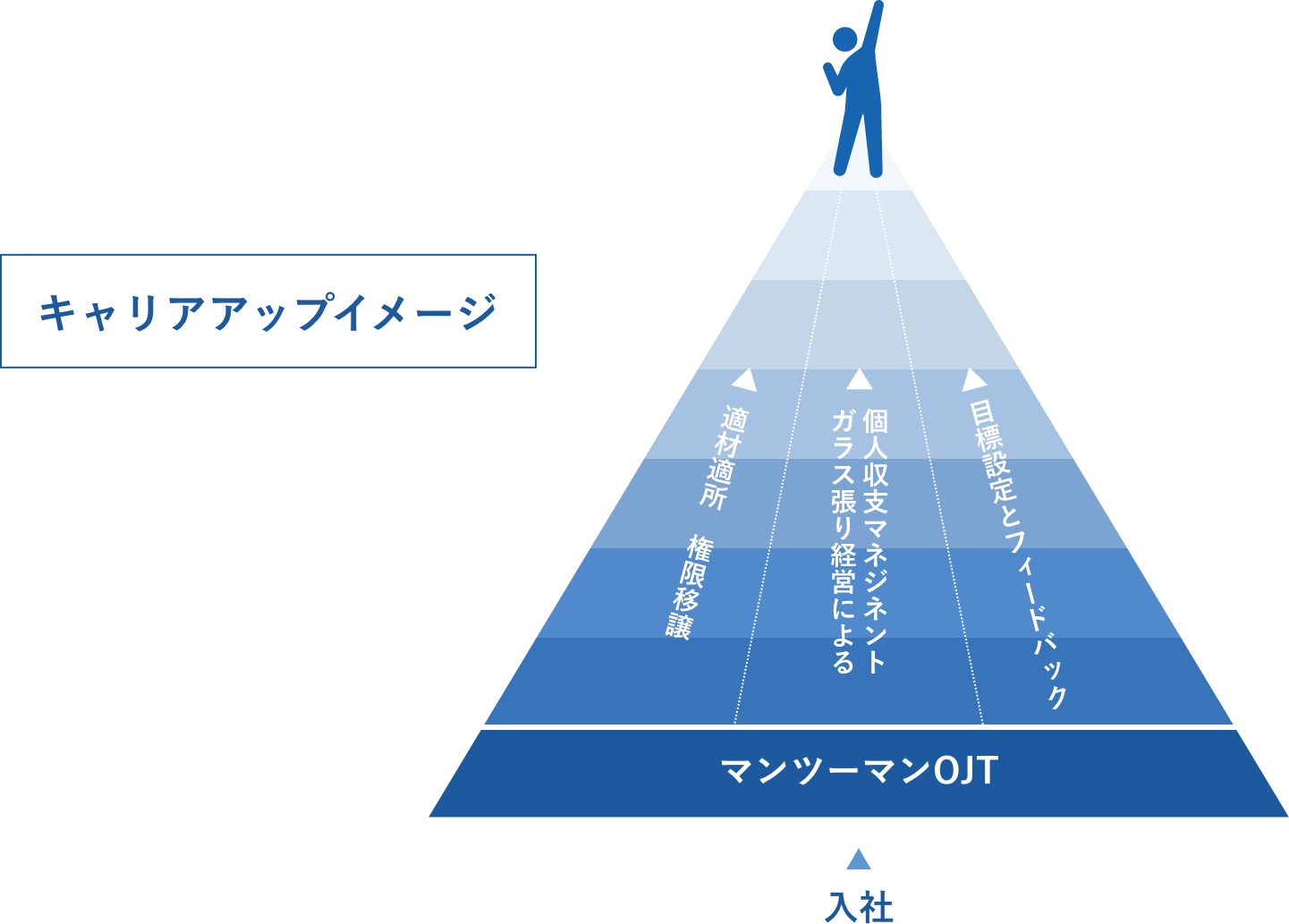 キャリアアップイメージ図 入社からマンツーマンOJTを経る。適材適所・権限委譲、ガラス張り経営による個人収支マネジメント、目標設定とフィードバックにより成長していく。